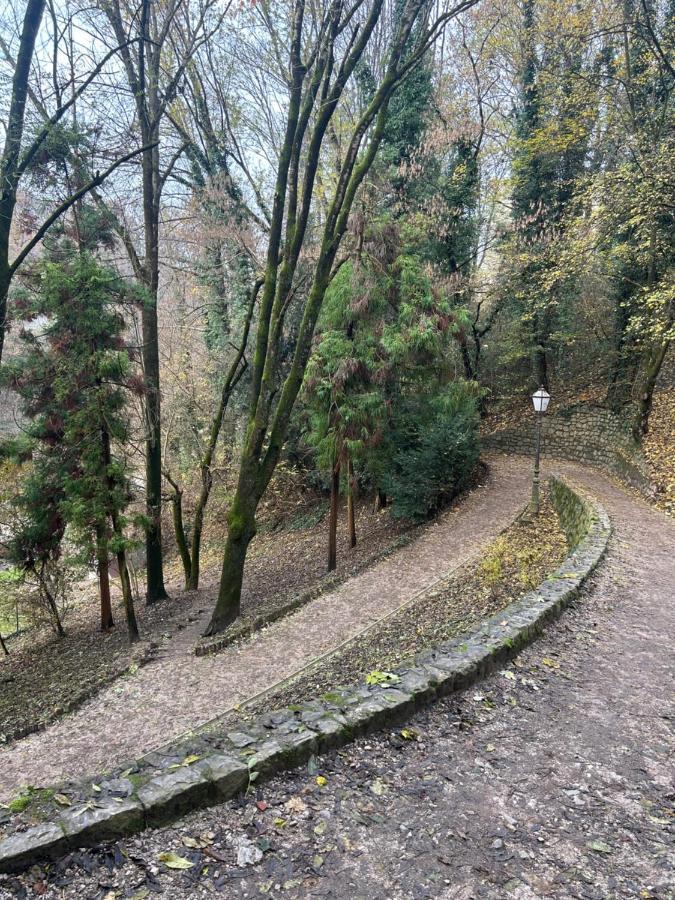 Historic Center-Lovely Nature 萨格勒布 外观 照片