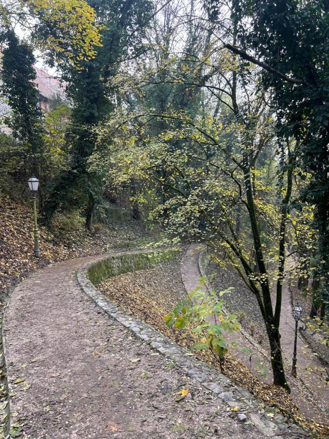 Historic Center-Lovely Nature 萨格勒布 外观 照片